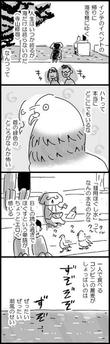 BOCCHI 