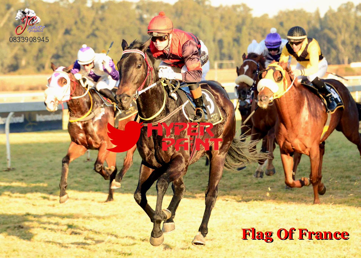 JC_Photos1's tweet photo. Racing @ The Vaal - 1 June 2017
Race 8 Winner: FLAG OF FRANCE
TRAINER: R Francis JOCKEY: P Strydom https://t.co/1Z1ibK3oF3