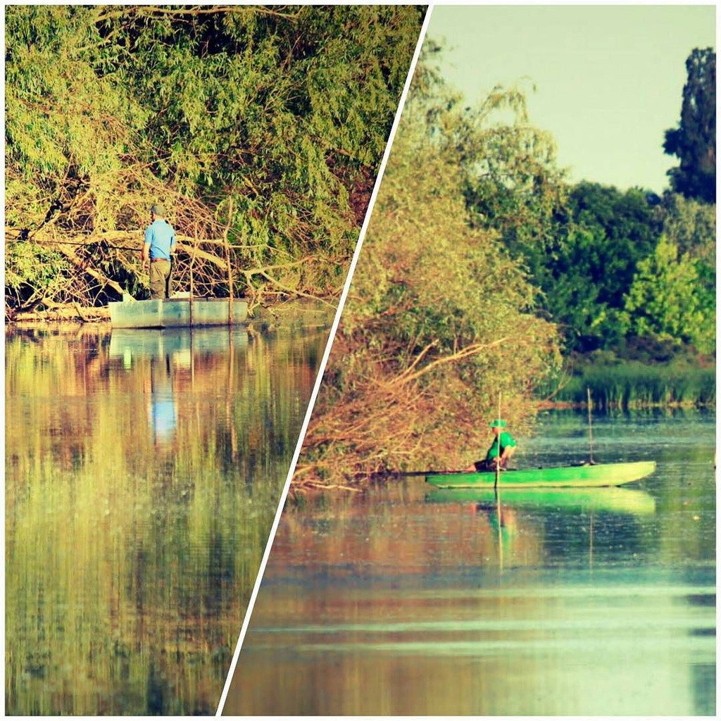 thescriptbible's tweet photo. Apparently colour matching your boat is what fishermen are into these days 😁 #Tisza https://t.co/CNVJWba0La https://t.co/wk5GqZBxJy