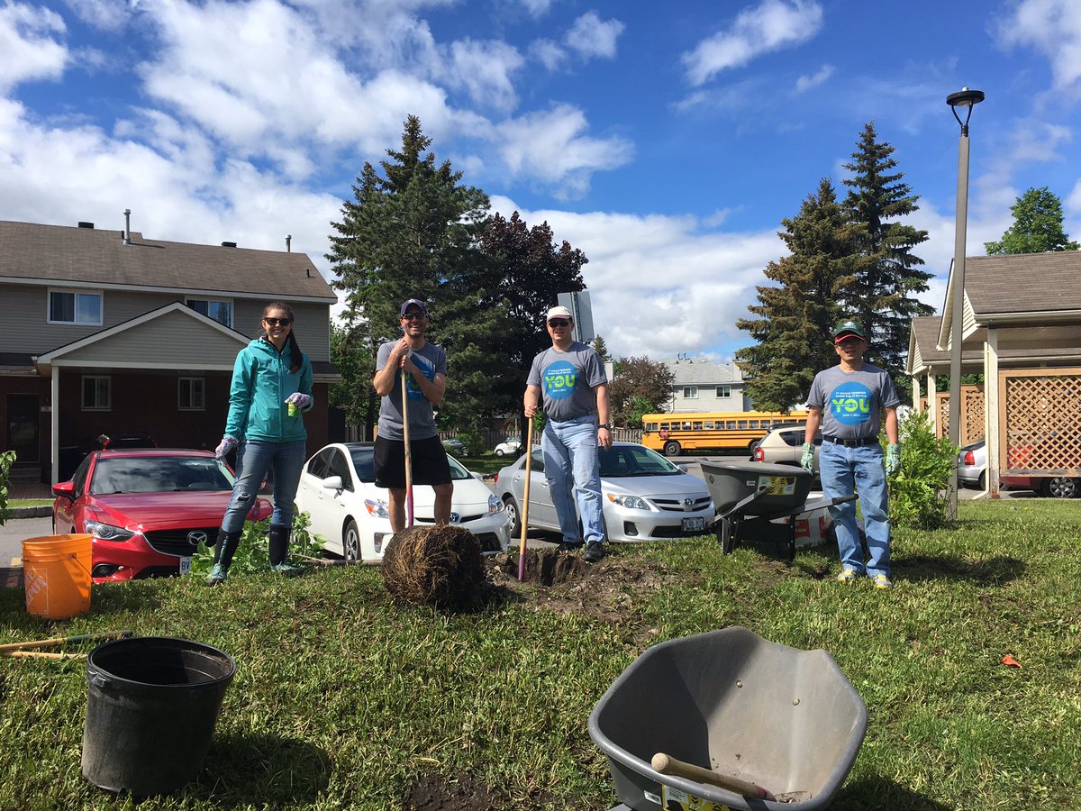 GaiserTim's tweet image. Planting trees for OCH #GBDay17