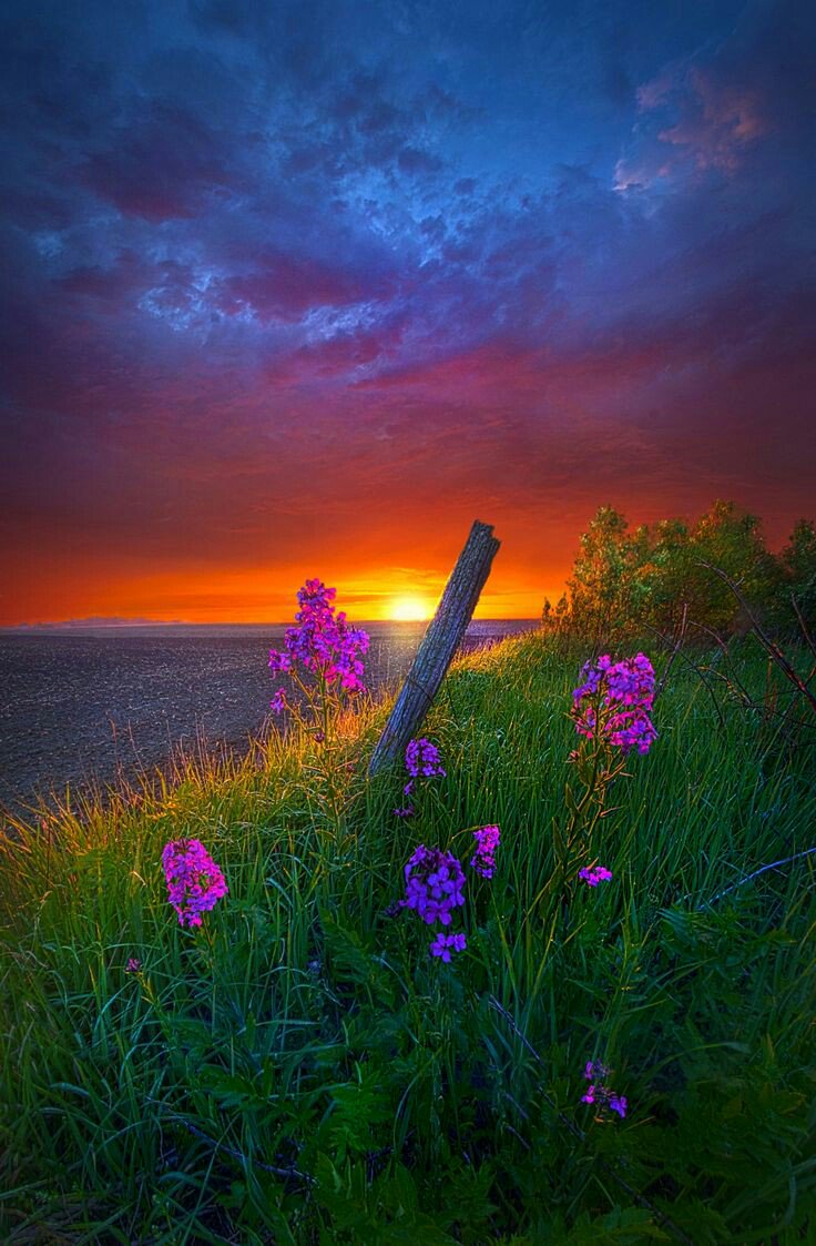 WagliO_O's tweet photo. A Moments Notice, by Phil Koch https://t.co/IDppfthLjl