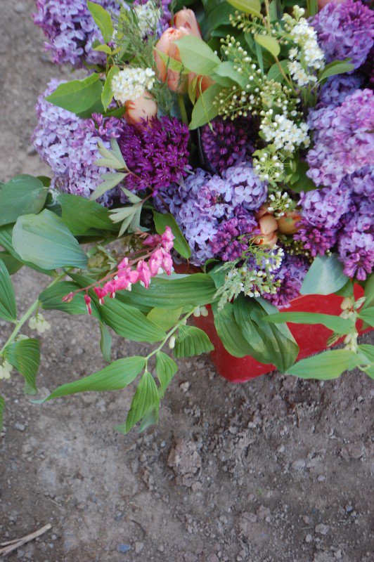 Hey #Dartmouth We have a Flower CSA starting <a href="/BlendedAth/">David Rafuse</a> 20 w $332, or 10w $195. We are also in #Tantallon  &amp; #Bedford Tuesdays 2pm-7pm