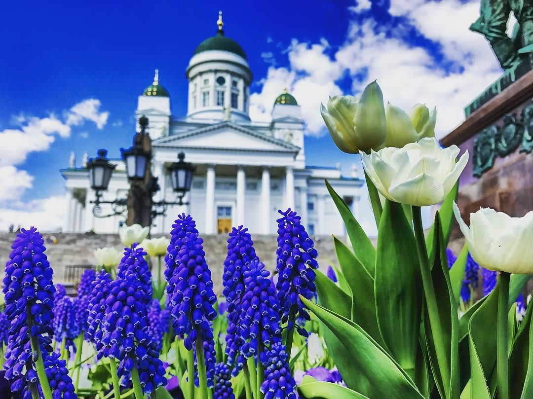 rchetMarch's tweet photo. @tuomiokirkko #helsinkiofficial #hki #finland #traveleurope #suomi #tuomiokirkko #senatsquareofhelsinki #visitfinland #flowerpower https://t.co/SBMC9YYGSW
