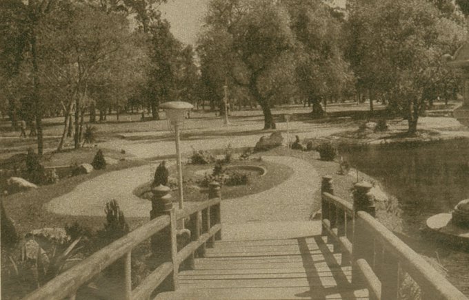 Ver imagen en Twitter