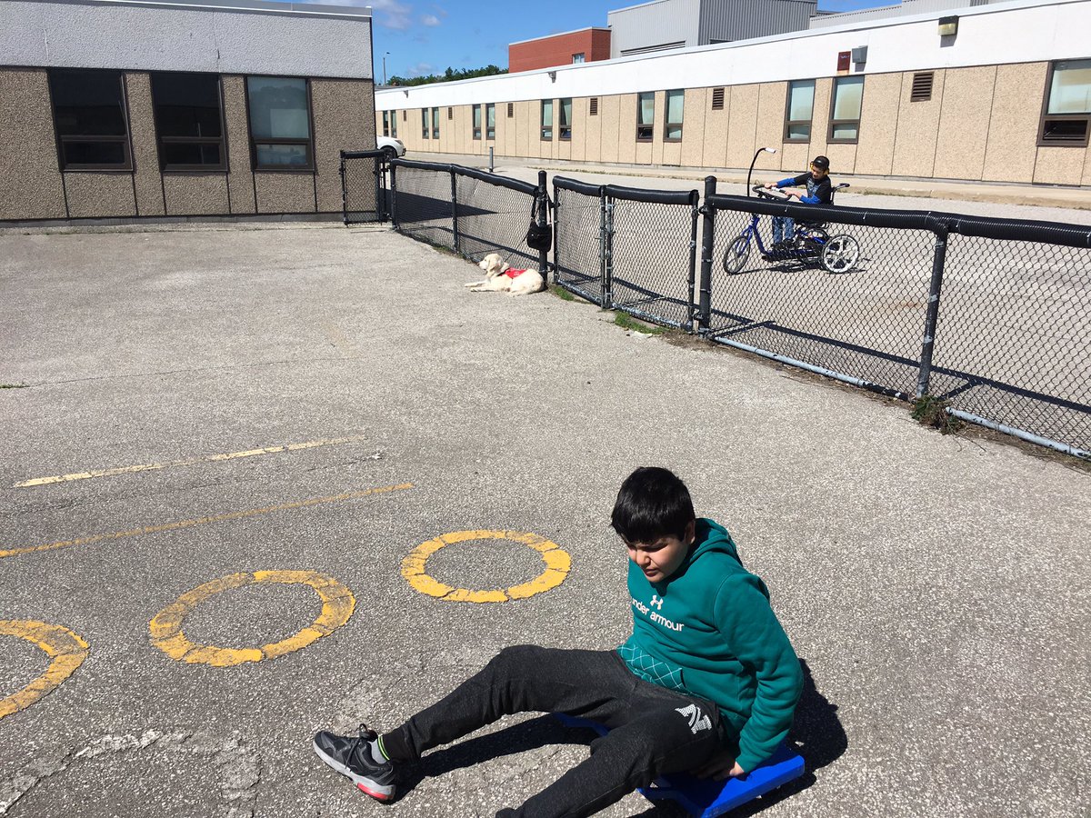 MarshallTeaches's tweet photo. Outdoor Ed Gross Motor Circuit Fun today!! @LisgarMS https://t.co/LDR3EoEcC7