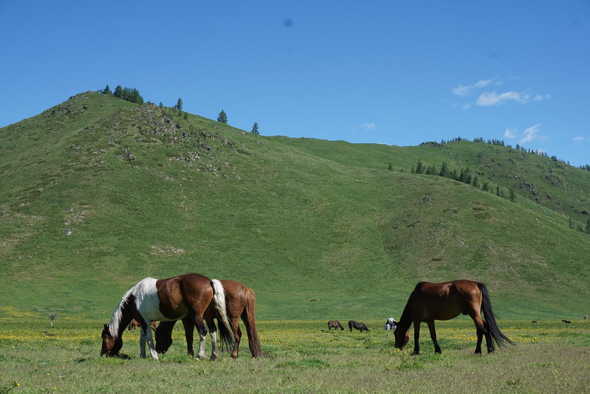 Robyn Owen tweet media