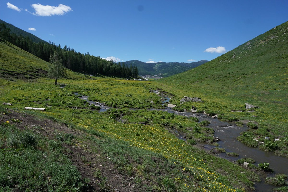 Robyn Owen tweet media