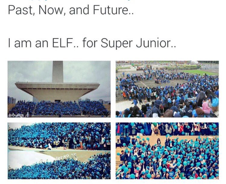 elfindonesiacom's tweet photo. Past, Now and Future
I am an ELF, for Super Junior #Happy11thAnniversaryELF #HappyELFDay https://t.co/8ffERpm708