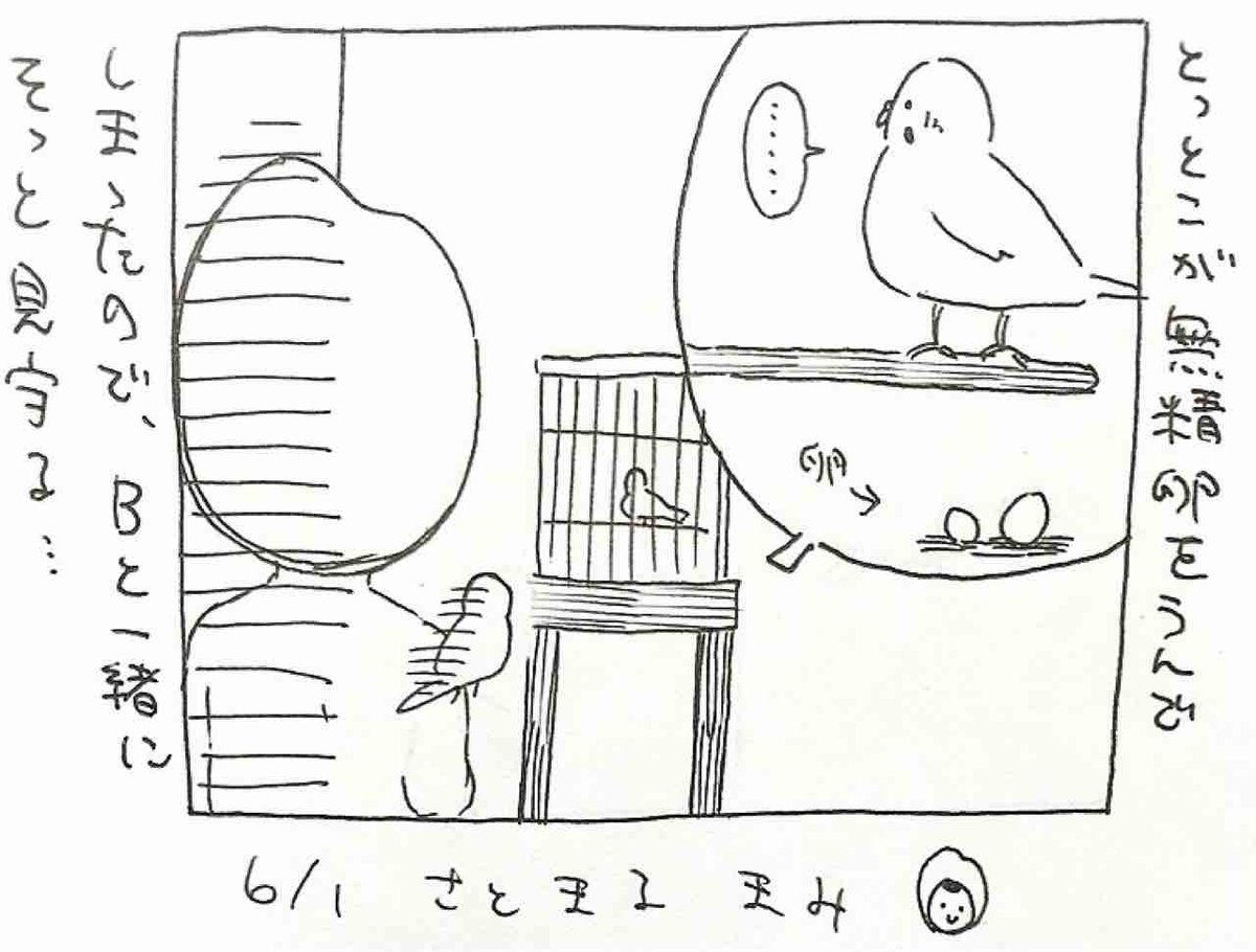 3日に1つぶ  6/1 