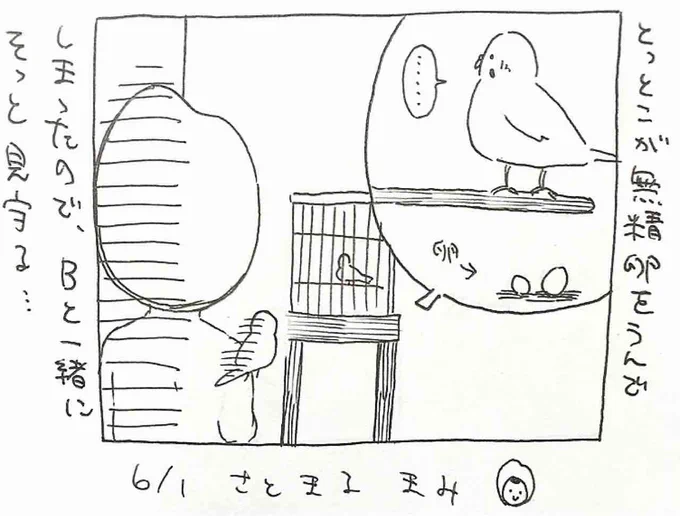 3日に1つぶ  6/1 