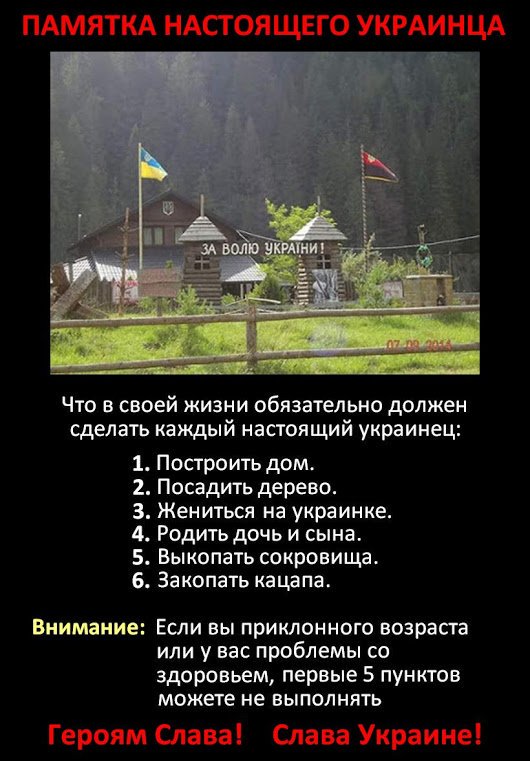 Чемпион мира из РФ Драчев убит во время драки в Хабаровске - Цензор.НЕТ 8715