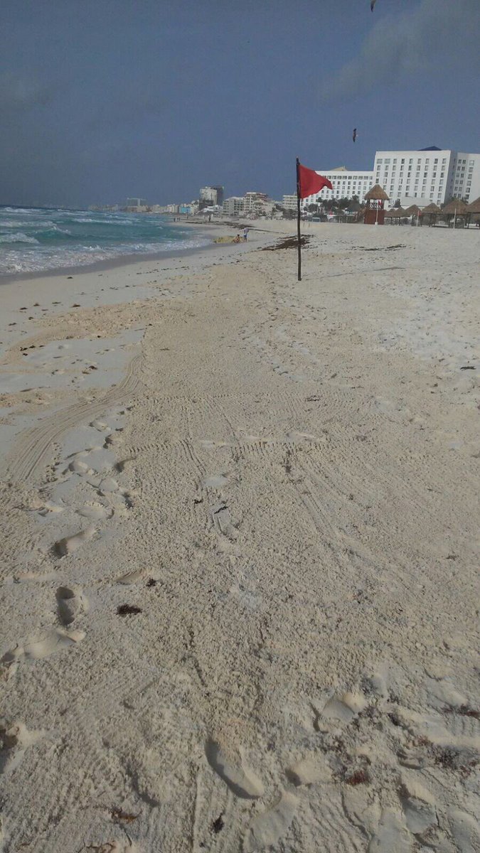 AFonsecaL's tweet photo. Seguimos trabajando para tener #Playasde10 #BrigadasVerdes trabajando en limpieza y recolección de basura en diferentes playas https://t.co/rzq5UmYLGO
