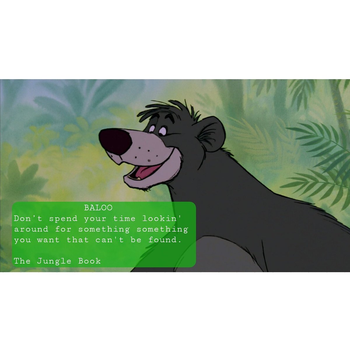 DreamAuteur's tweet photo. The Jungle Book. Which version do you prefer? 
 #movies #InspirationalQuotes #moviequote #billmurray #jonfavreau #junglebookmovie  #baloo https://t.co/rcfaed4LIo