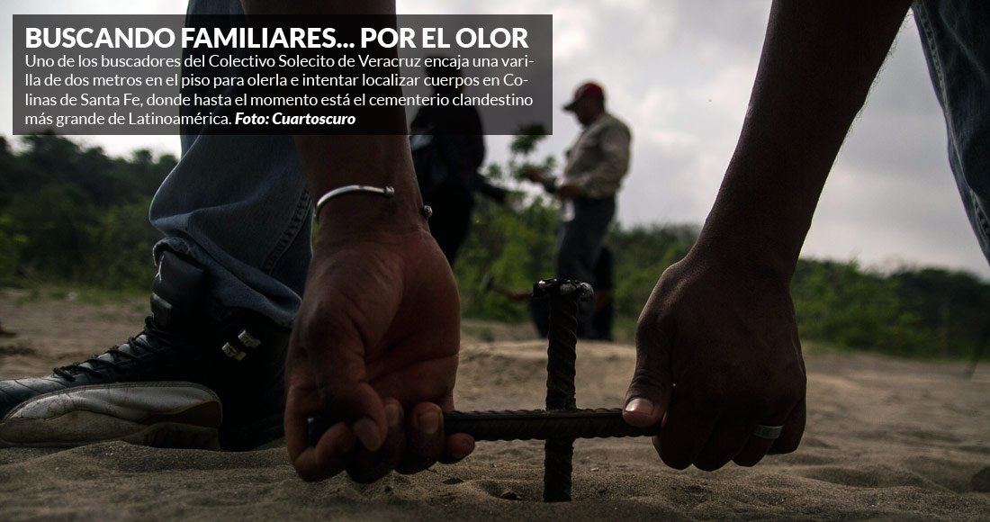 SinEmbargoMX's tweet photo. Veracruz no respira: madres dan con 134 fosas y 260 cráneos, pero sólo 2 cuerpos son identificados https://t.co/JANb6bRrEm https://t.co/OIh6vVxS2q