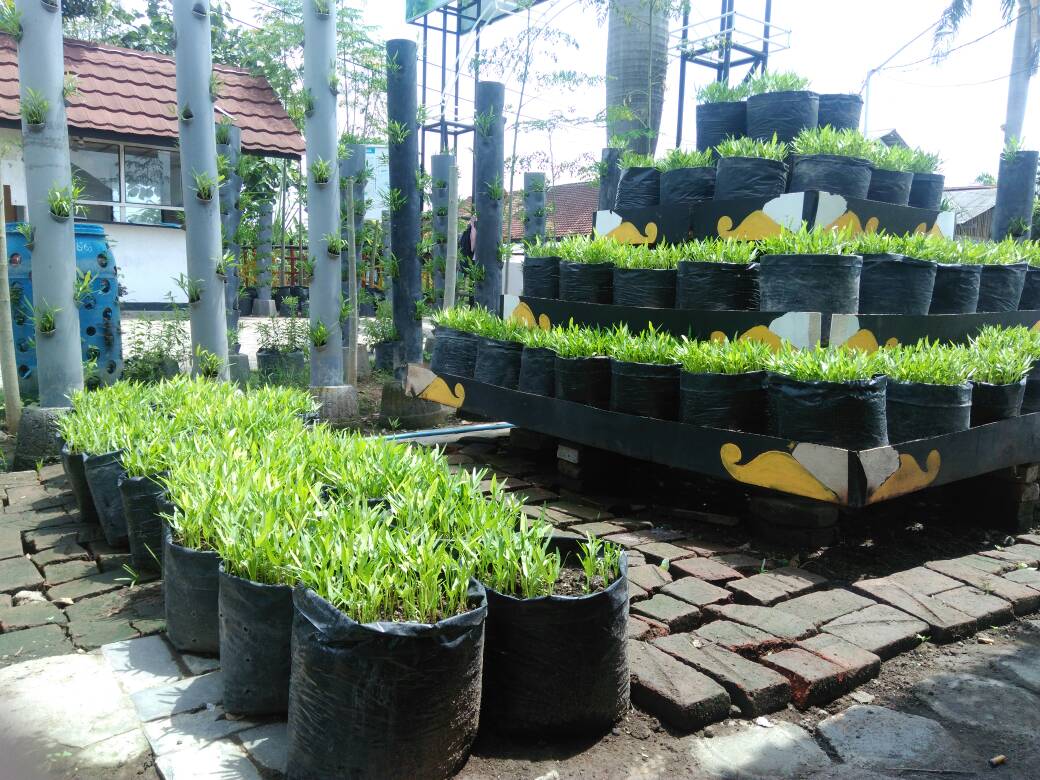 aruhul22's tweet photo. Mari membangun #NusantaraBangkit dengan program #BapakKiaiTanjung https://t.co/cGCtLl7aCI