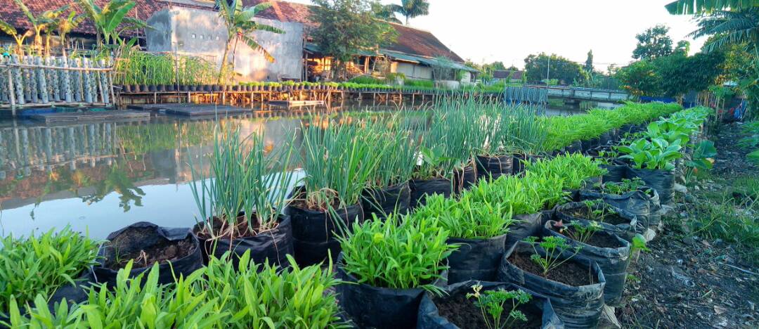 Only_Aam's tweet photo. Justru ketika blg #SayaINDONESIA mk harusnya sbg rakyatnya tdk hanya sbk urusin Chats** org itu, fikir aja gmn majukan Indonesia dgn Aksi https://t.co/hmeVC0xkj1