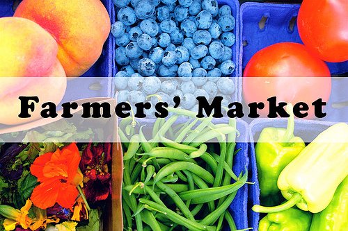 Club Roma tweet media