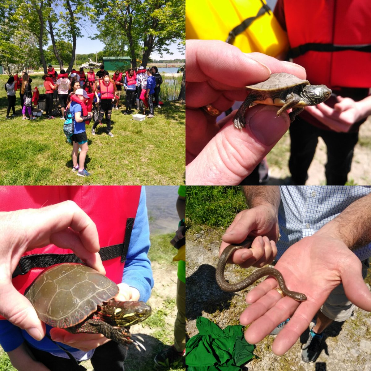 Day 5: Holy Names C.H.S. group number 3.  Another adventurous day on Fighting Island.  More turtles and snakes! Thanks for the great day!!