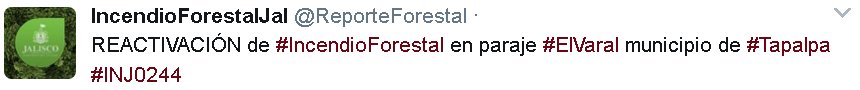 TelevisaGDL's tweet photo. IncendioForestalJal @ReporteForestal
REACTIVACIÓN de #IncendioForestal en paraje #ElVaral municipio de #Tapalpa #INJ0244 https://t.co/2dKRGvMKAH