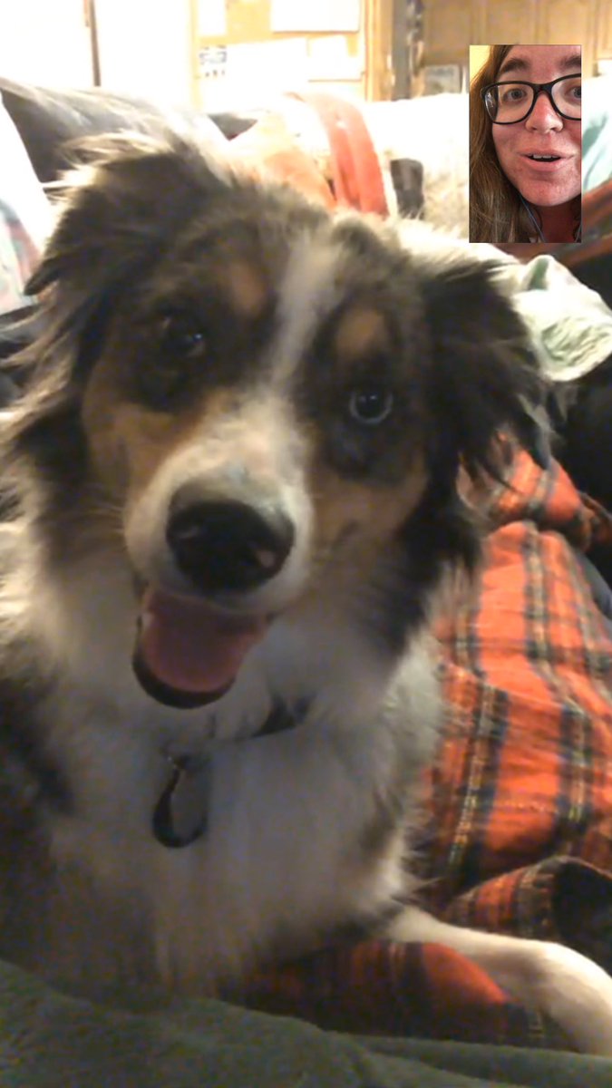 Jessica Howell tweet media