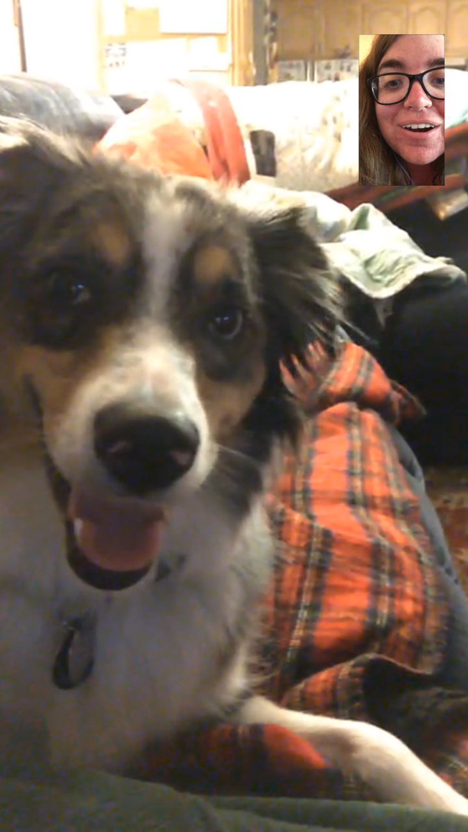 Jessica Howell tweet media