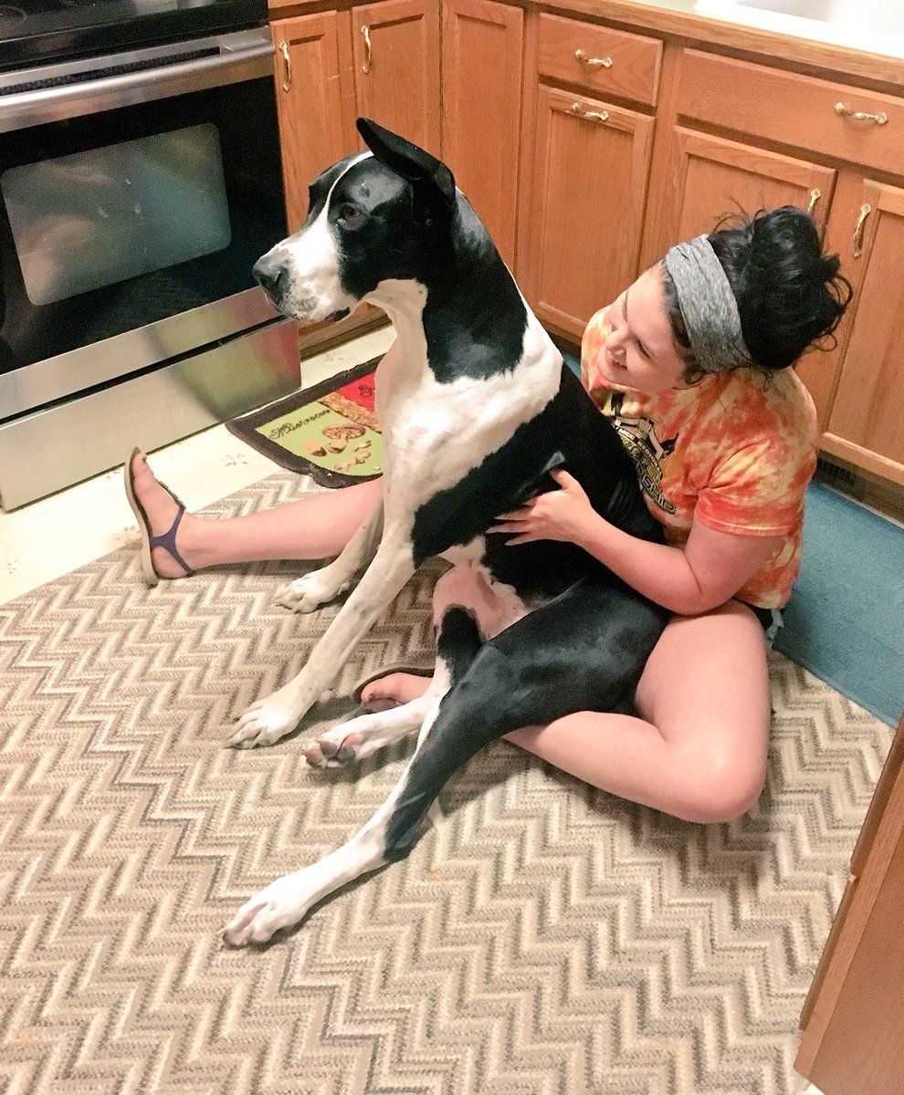 makeupalaena's tweet photo. @GreatDanesWorld @dogcelebration her favorite seat #likeAbabys 🐶❤️️🌸🤘🏽 #mammasgirl https://t.co/BUzQ1ac3kR