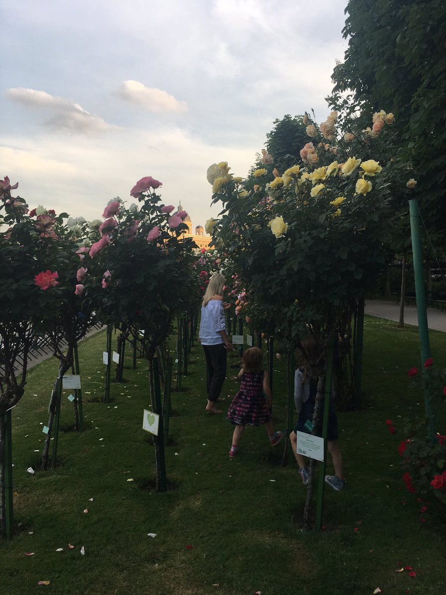 mrstoyahb's tweet photo. Day one of #30DaysWild appreciating nature in all of its beauty in Vienna! #bbowt #RSWT #wildlifetrust #nature https://t.co/au8mgA2pn7