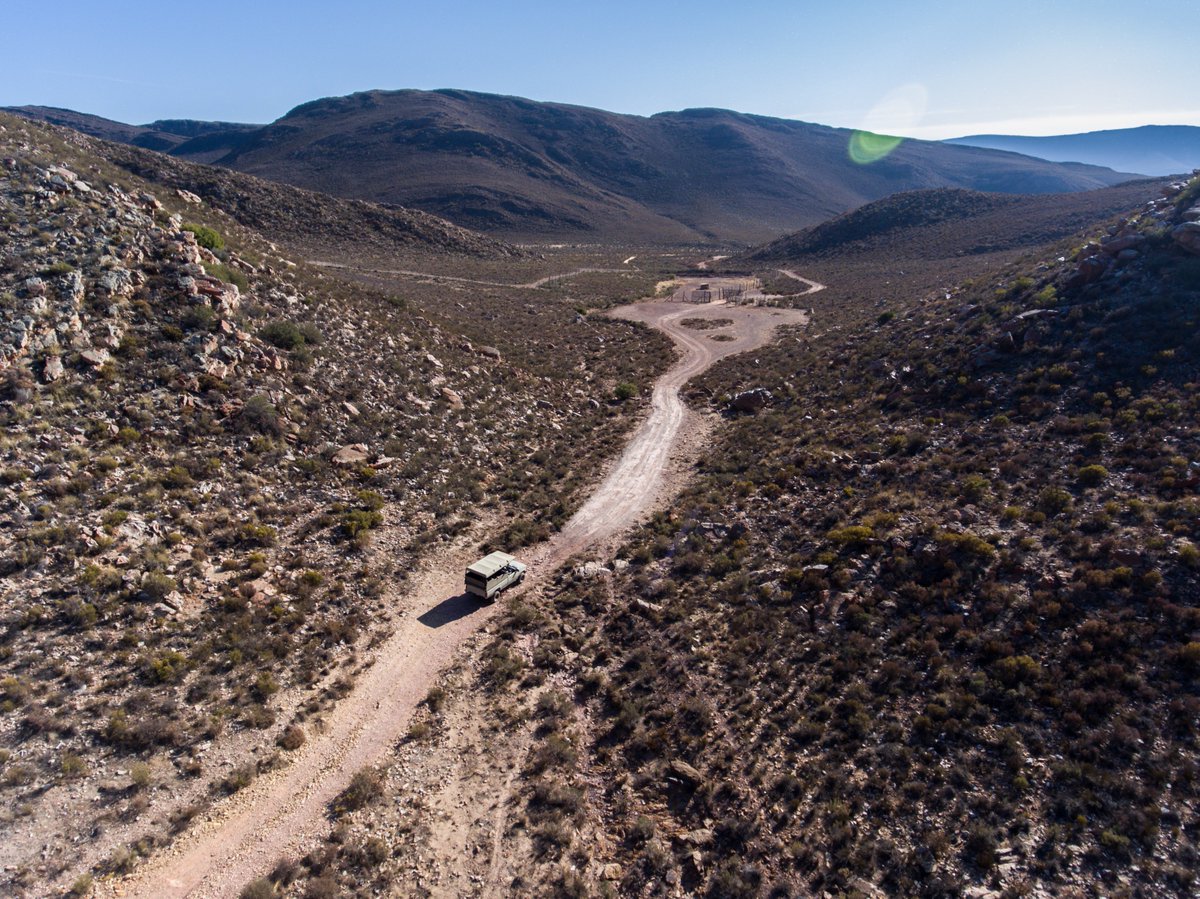 WaRTeK's tweet photo. Aquila Safari, Afrique du Sud. https://t.co/5flfS2jed4