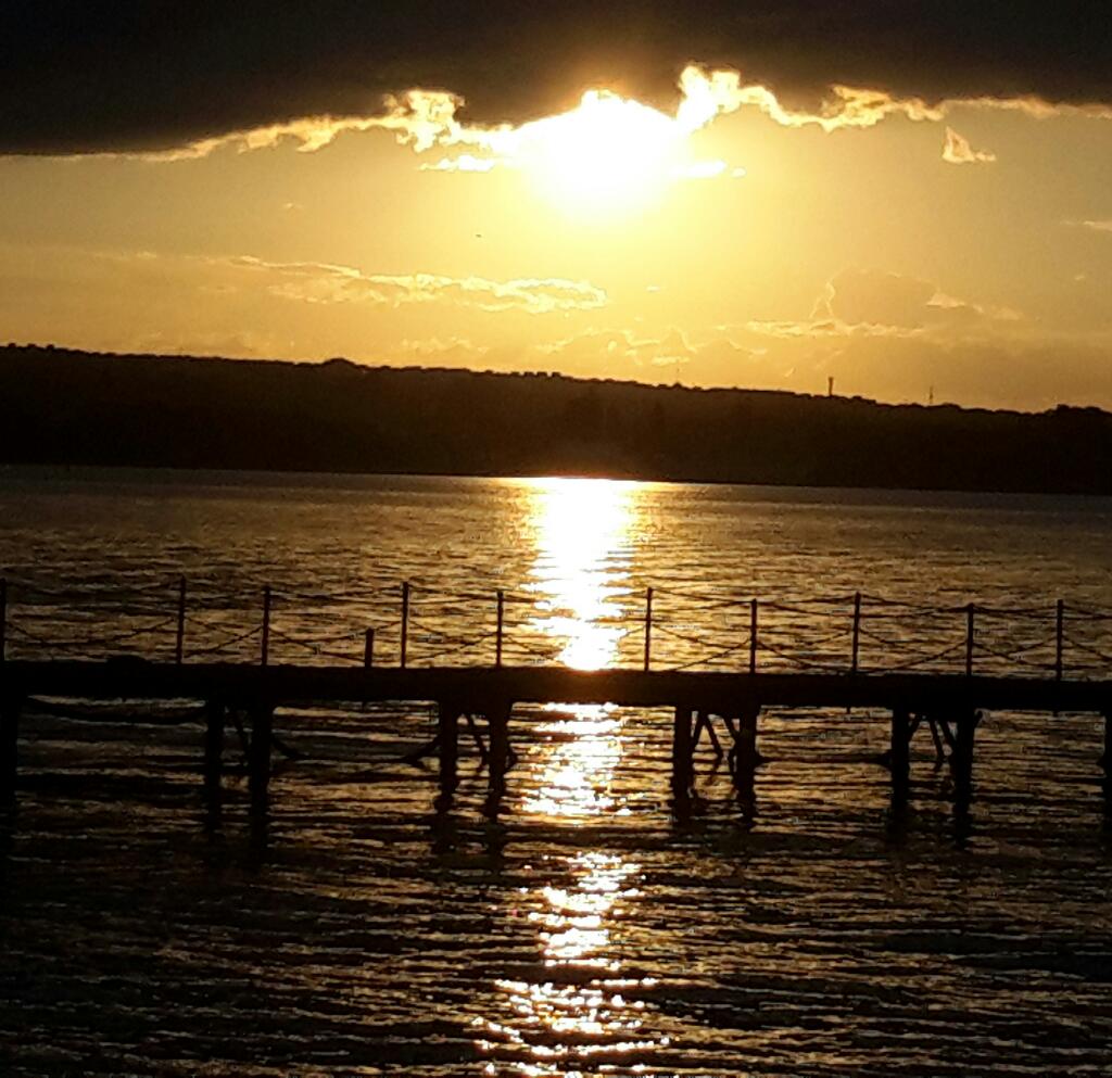 simarmaia tweet picture