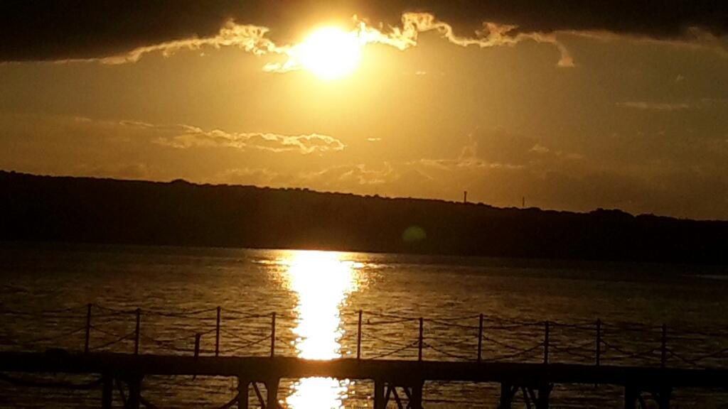 simarmaia tweet picture