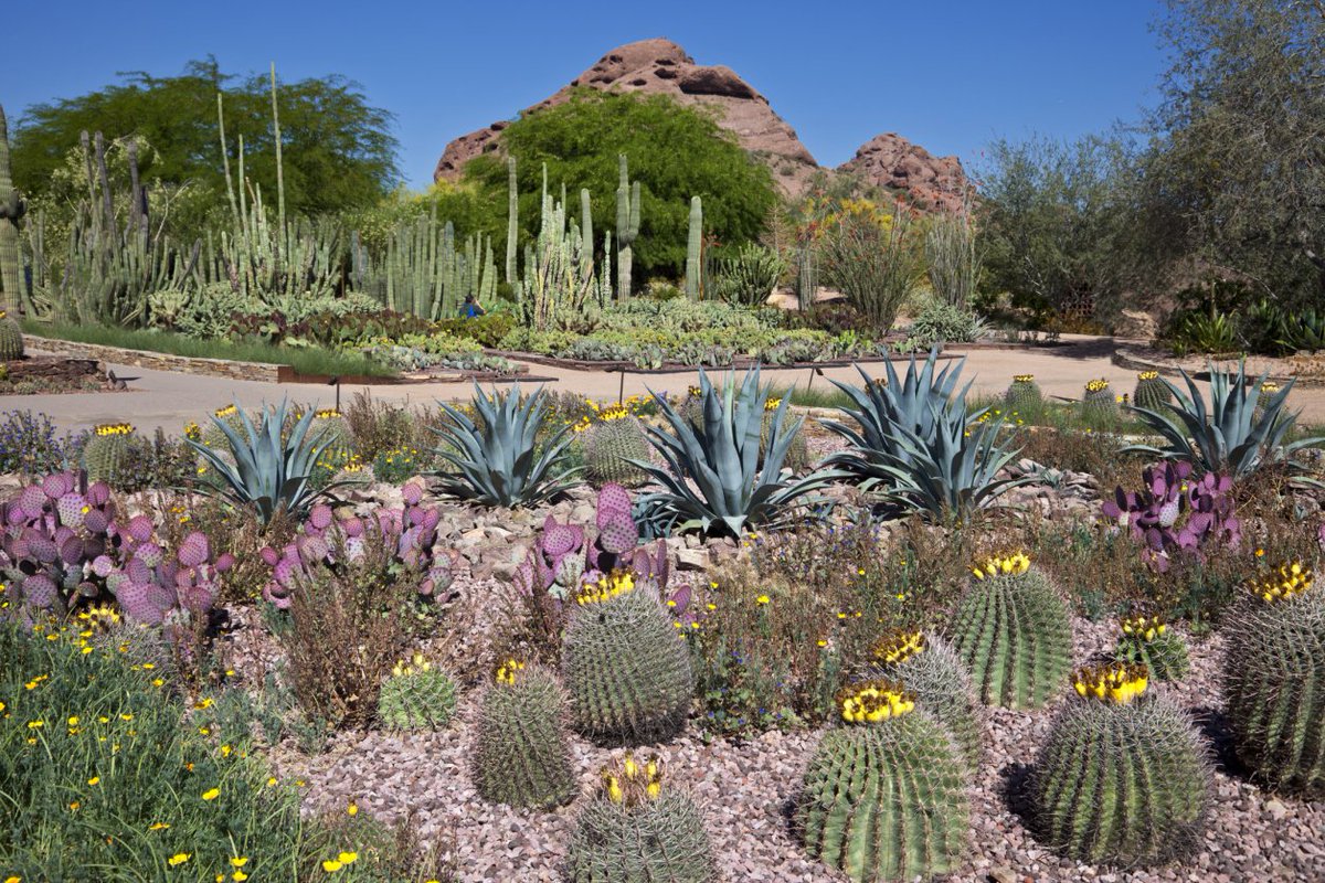 ButtesMarriott's tweet photo. June is #GreatOutdoorsMonth and we have outdoor adventures aplenty! #ButtesMarriott https://t.co/kT5GkJPOuj https://t.co/SQWSA1fSKD