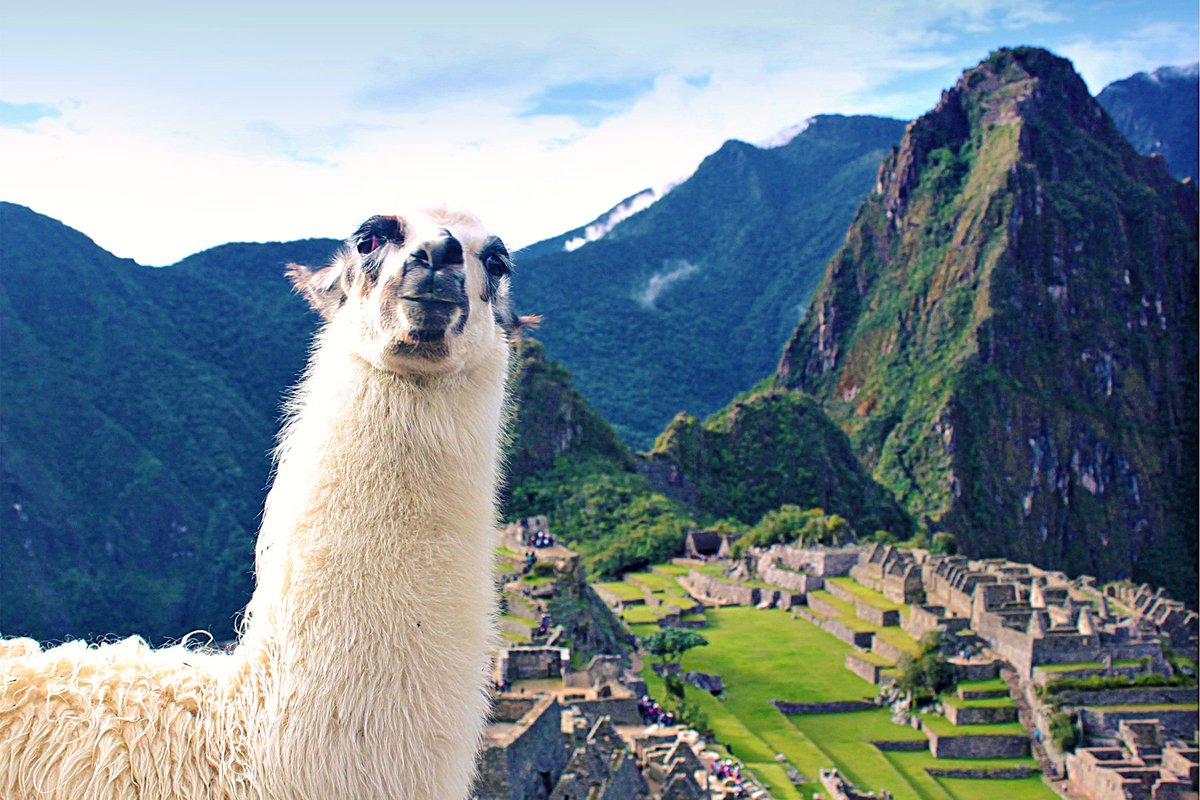 Just1WayTicket's tweet photo. Enter NOW to WIN this awesome 9-day Culinary Adventure in #Peru incl. Lima, Cusco &amp; Machu Picchu >> https://t.co/iqLraodxrr #MeetMeAtMistura https://t.co/T7FxbFeKme