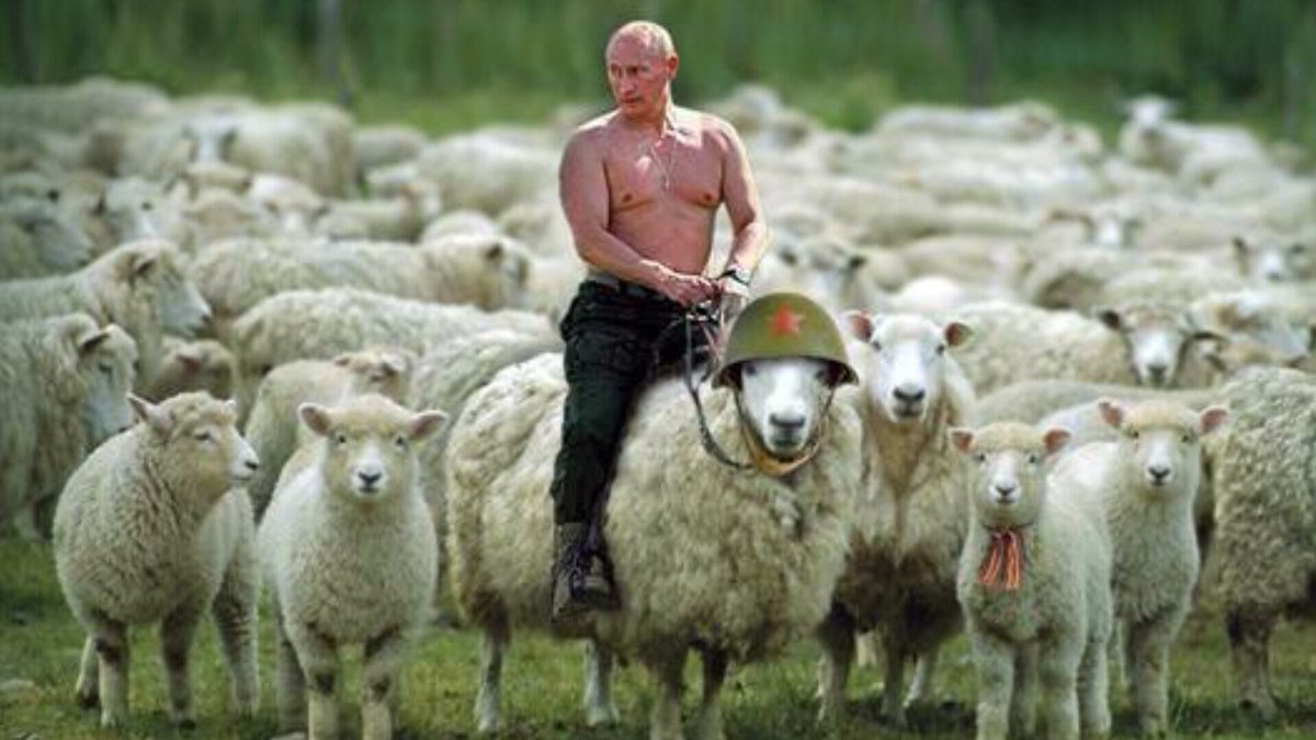 <a href="/Anakoyher/">Тётя Роза</a>