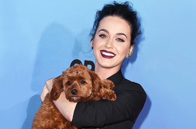stohadoj's tweet photo. #PolandLovesKatyPerry
#nuggetsy https://t.co/TVsRpMzxrW