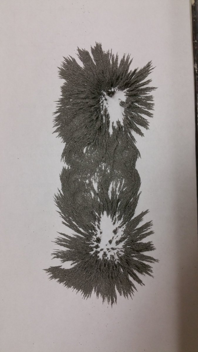GenericHandle12's tweet photo. Patterns formed by magnetic fields using magnets and iron filings. I almost couldn't resist rubbing the filings in my eyes. @ACCI_Science https://t.co/bcD8Vl3p7D