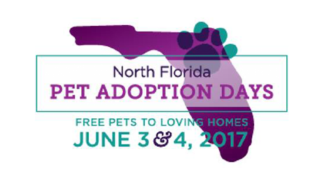 See Storm <a href="/Petsmart/">PetSmart</a>-ArcherRd Sat 12p-2p!: free pet adopts w/ @AlachuaHumane <a href="/GvillePetRescue/">GainesvillePetRescue</a> @HailesAngels <a href="/HHRescue/">Helping Hands Rescue</a>  <a href="/PuppyHillFarm/">Puppy Hill Farm</a> #ad