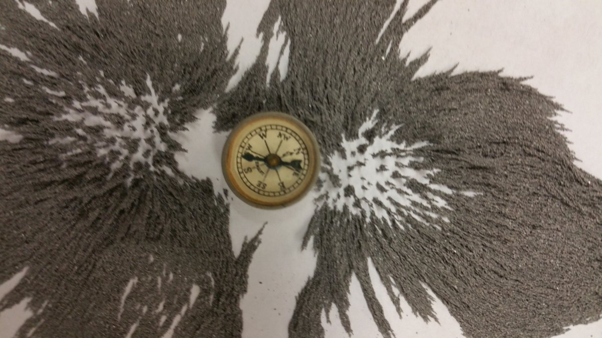 GenericHandle12's tweet photo. Patterns formed by magnetic fields using magnets and iron filings. I almost couldn't resist rubbing the filings in my eyes. @ACCI_Science https://t.co/bcD8Vl3p7D
