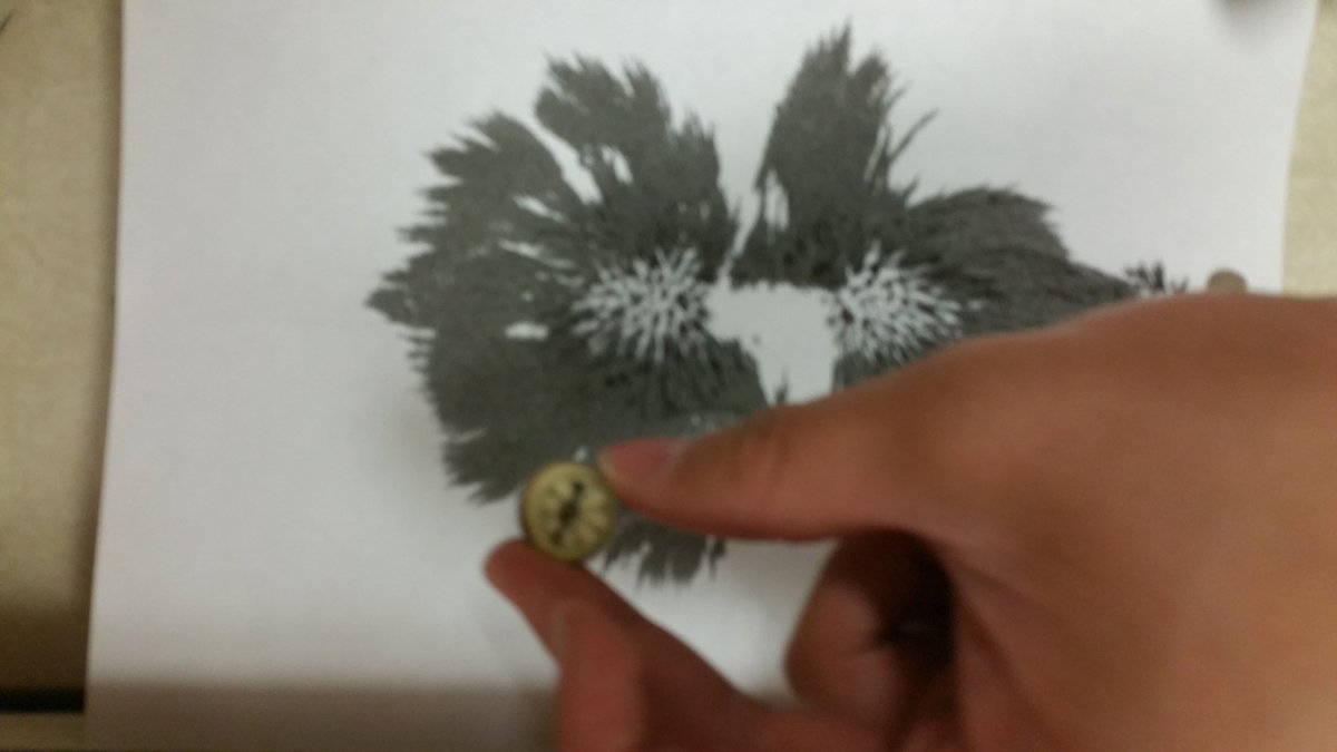 GenericHandle12's tweet photo. Patterns formed by magnetic fields using magnets and iron filings. I almost couldn't resist rubbing the filings in my eyes. @ACCI_Science https://t.co/bcD8Vl3p7D