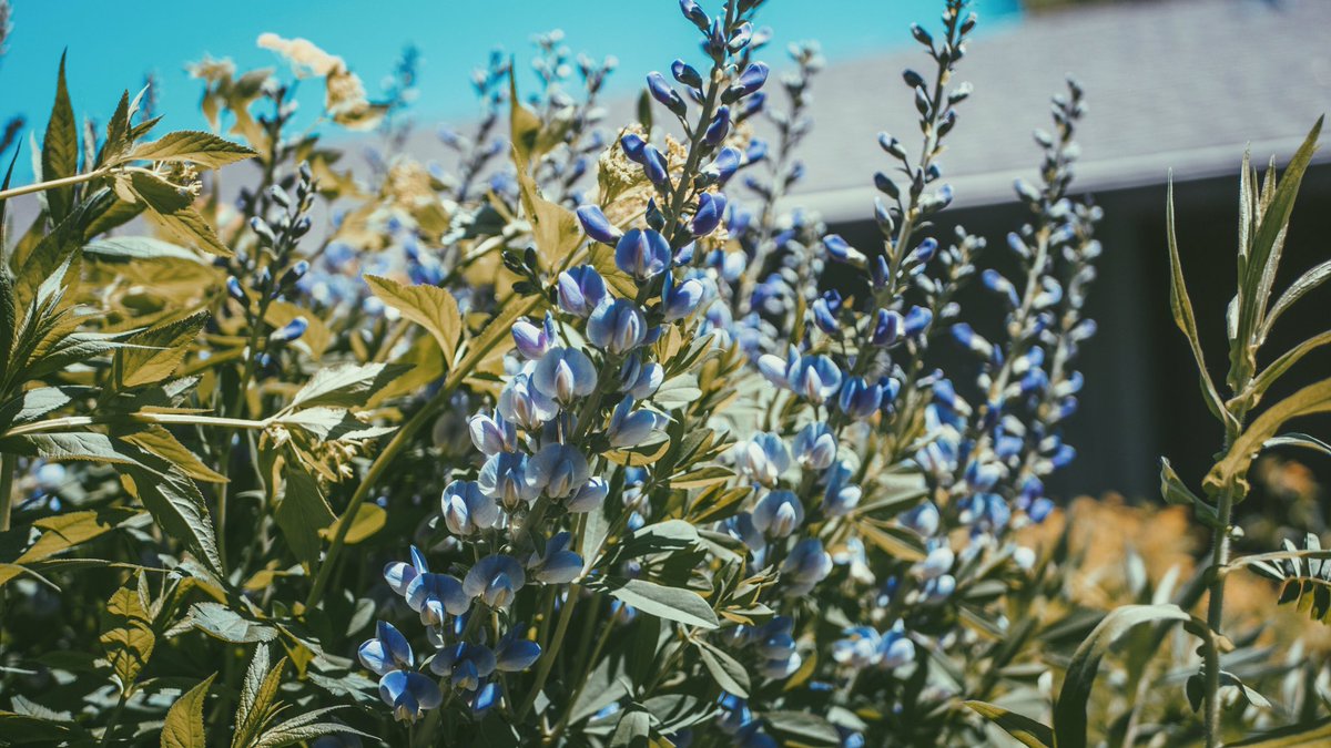 SkilledEdits's tweet photo. •MN Arboretum• https://t.co/IY9KF3V0LE