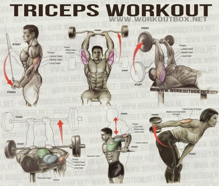 AHealthBlog's tweet photo. #Exercising increases blood flow to your brain ➡ https://t.co/ucP2MbMl2y https://t.co/xvHFFccv02