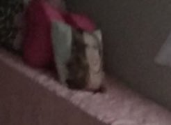 evilmader's tweet photo. When you're taking a #zelfie and your @bexmader pillow appears behind 💚😂😜💚 https://t.co/035yJIckoa