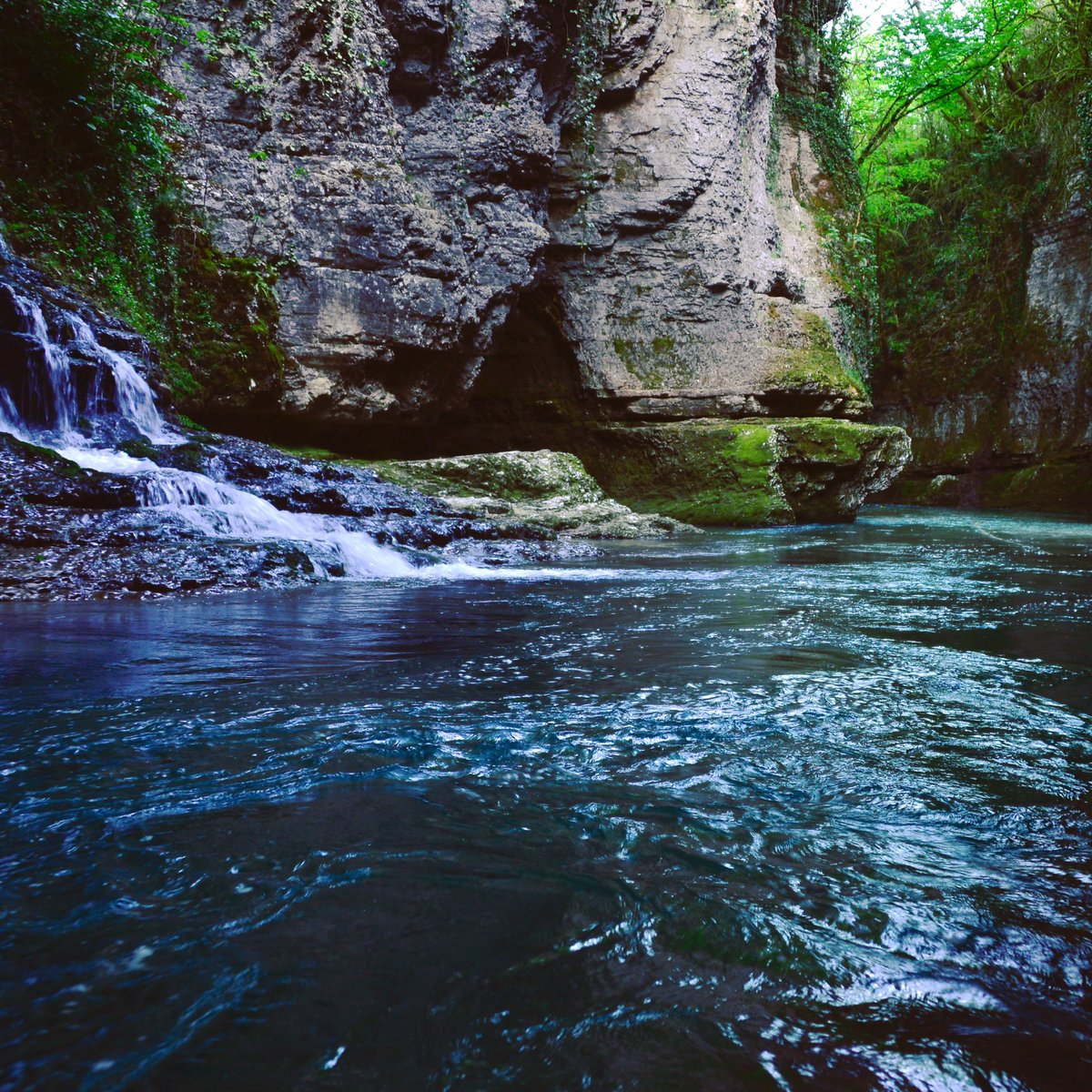 elkvaracxelia's tweet photo. Totally in love #discoverdestination #georgia #nature https://t.co/40zip4nrql