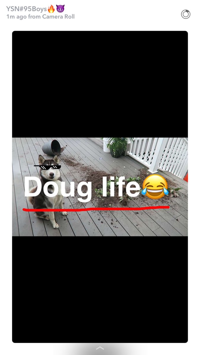 prettyboyFredoFaze🥀 tweet media