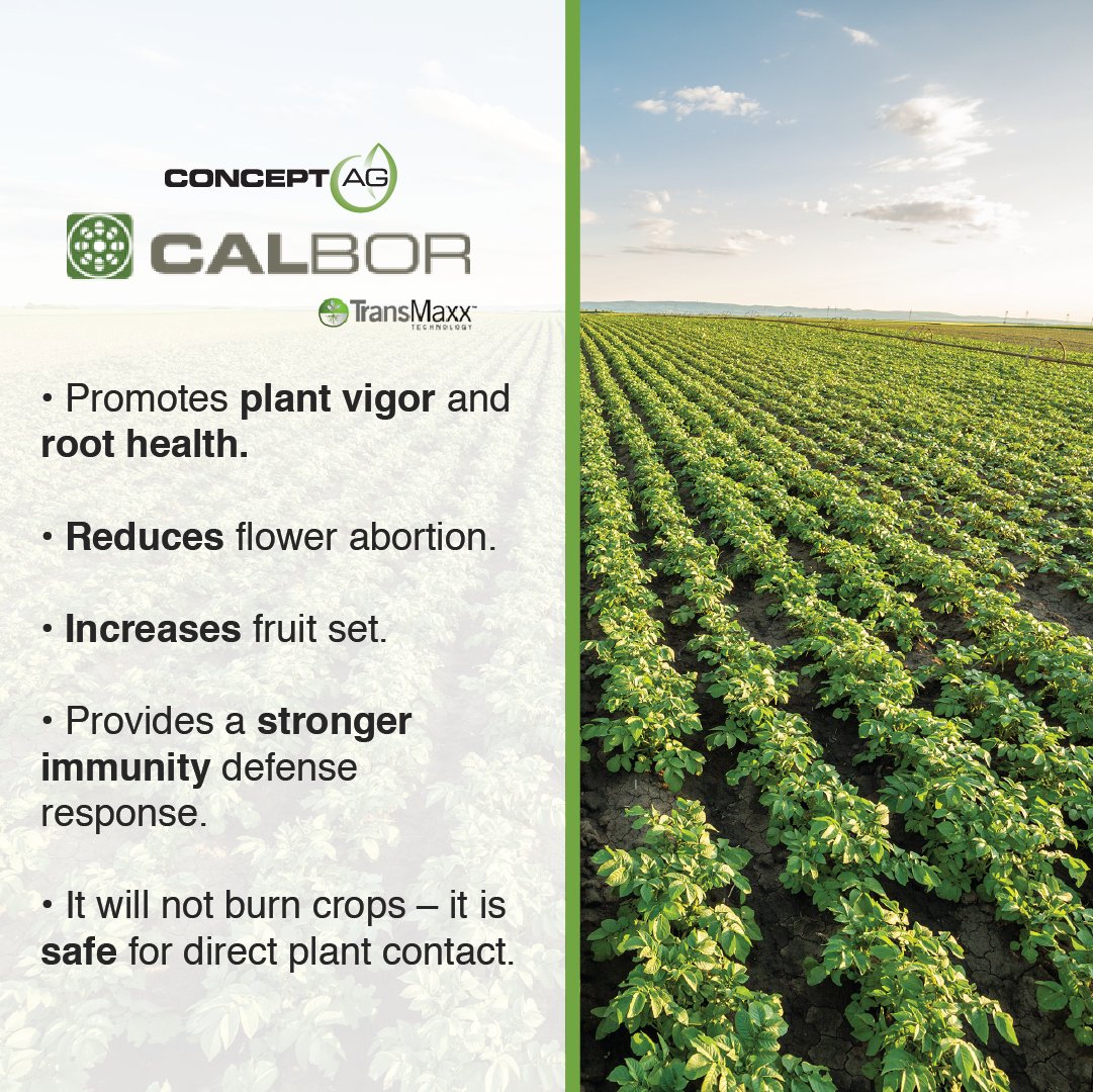 ConceptAgriTek's tweet photo. Products with the #TransMaxx label are part of the latest technology in #plantnutrition. It feeds your plants all the nutrients they need. https://t.co/xhKz1CeSZB