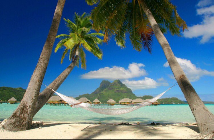 Take me here this summer! #TrainerTwitterThursday #TUProud