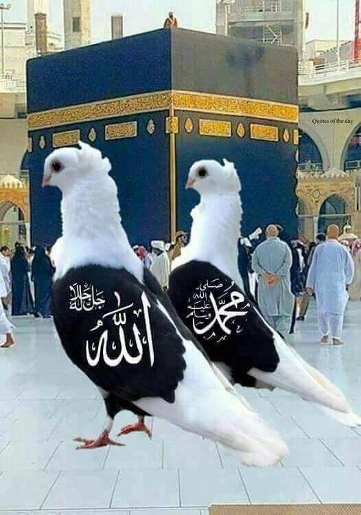 SuhailVm2's tweet photo. https://t.co/pkWbbwCm3b