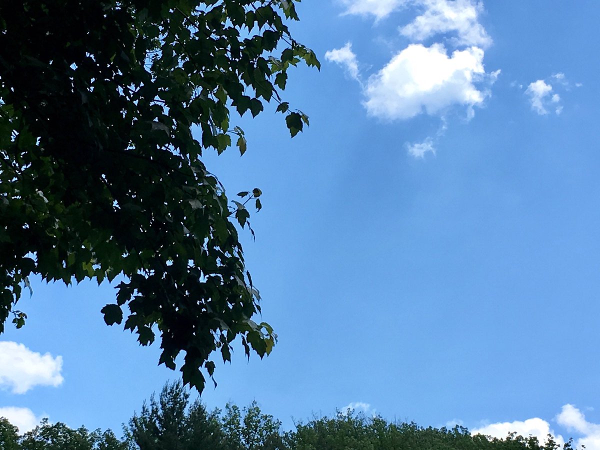 Caren329's tweet photo. Finally a beautiful day here in Philly. #walkinthepark #somepics https://t.co/69CHCu6SKV