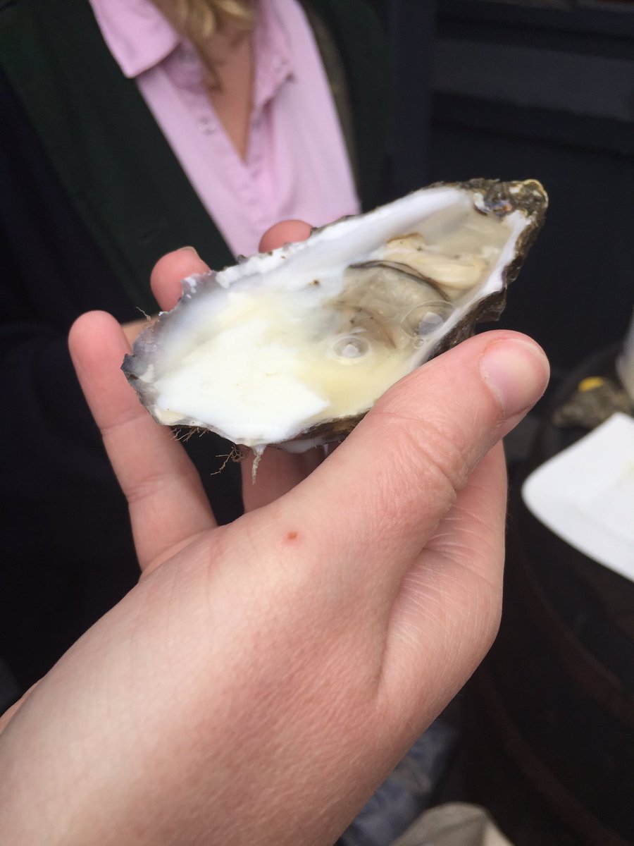 Ciaradora's tweet photo. Oyster + buttermilk = Innovation @tech_innovate @DignamSheena #galwayfoodtour #icanrecommend https://t.co/2BtqFinaKJ