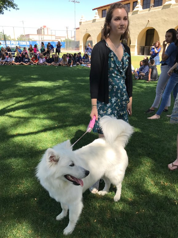 XCPGators1's tweet photo. 15th Annual DOG DAZE! Thx SUE ROTH for 15 years of this great summer event! #GatorDogs #Disney https://t.co/ESKei5wGdi
