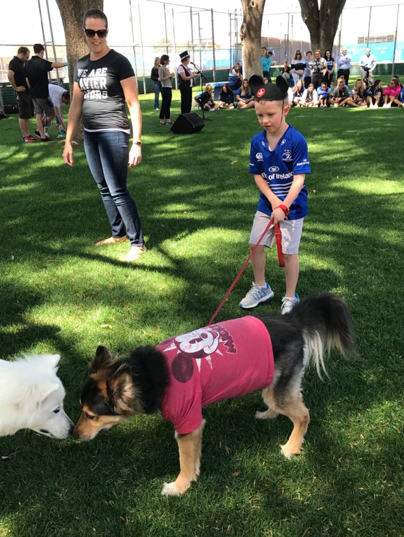 XCPGators1's tweet photo. 15th Annual DOG DAZE! Thx SUE ROTH for 15 years of this great summer event! #GatorDogs #Disney https://t.co/ESKei5wGdi